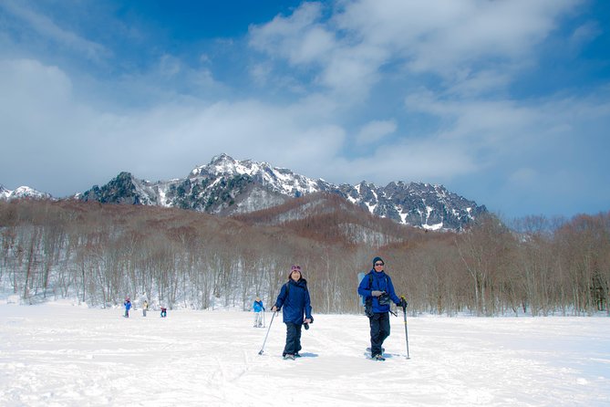 Nagano Snowshoe Hiking Tour - Key things that make this Nagano snowshoe hike worth it