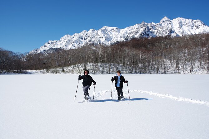 Nagano Snowshoe Hiking Tour - Snowshoeing Togakushi, where the forest gets silent