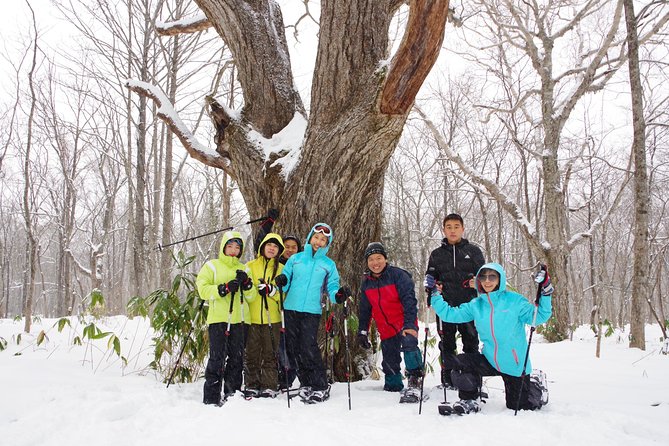 Nagano Snowshoe Hiking Tour - Stop 3, Myoko-Togakushi Renzan National Park: beech forest, footprints, and big-tree moments