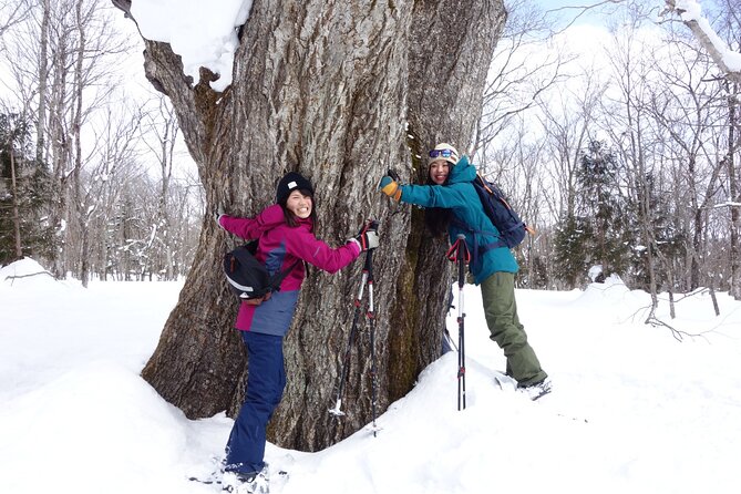 Nagano Snowshoe Hiking Tour - Gear you do not have to hunt for: MSR snowshoes and poles