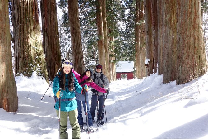 Nagano Snowshoe Hiking Tour - Price and what you actually pay for (about $97.98)