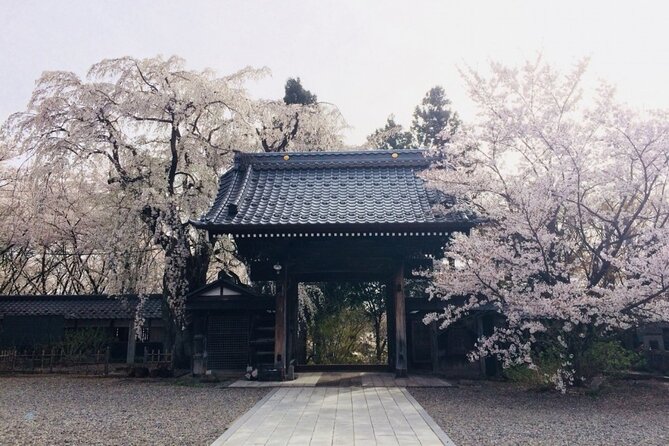 Nagano Spring: 1-Day Cherry Blossoms & Snow Monkeys Guided Tour - Jigokudani Snow Monkey Park: watching macaques at human distance