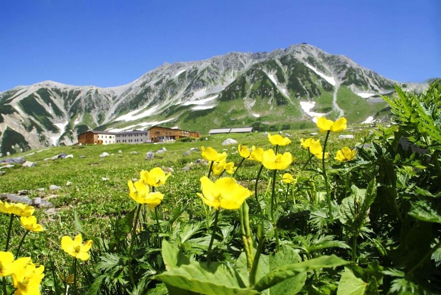 Nagano: Tateyama-Kurobe Guided Walking Tour - Kurobe Dam: engineering on the way up