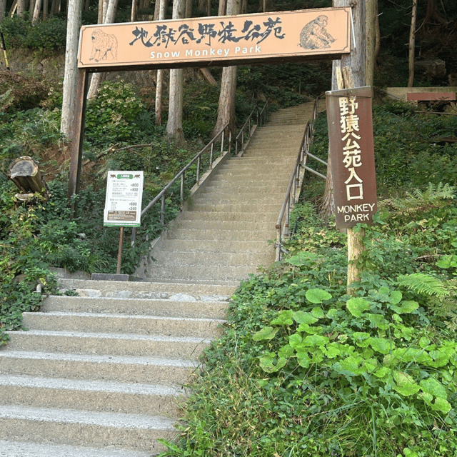 Nagano/Tokyo: Snow Monkey Private Day Tour At Lowest Rate - Key things to know before you go