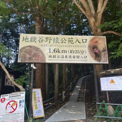 Nagano/Tokyo: Snow Monkey Private Day Tour At Lowest Rate