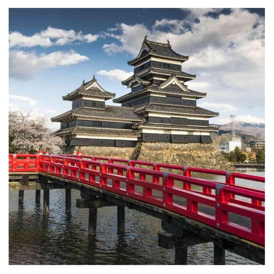 Nagano/Tokyo: Snow Monkey Private Day Tour At Lowest Rate - Price and logistics: what $399 buys you (and what it does not)