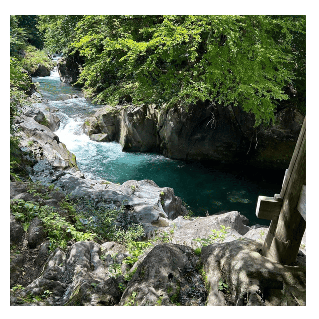 Nagano/Tokyo: Snow Monkey Private Day Tour At Lowest Rate - Car comfort in winter and why timing really matters