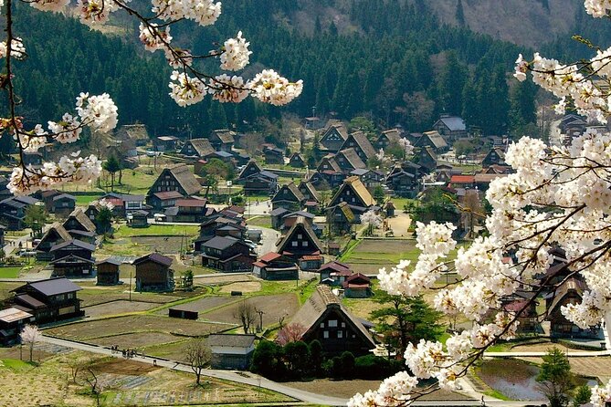 Nagoya: 2026 Hida Takayama Shirakawa-go Light-up Winter Tour - The Edo-period streets of Hida Takayama: your time capsule moment