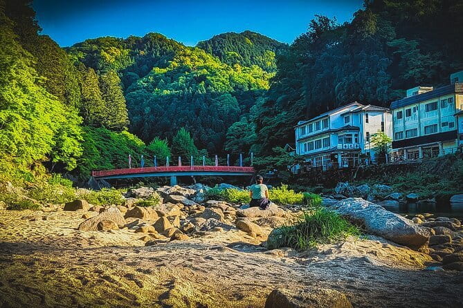 Nagoya: all-inclusive car tour to Korankei valley - Key things that make this Nagoya to Korankei tour work
