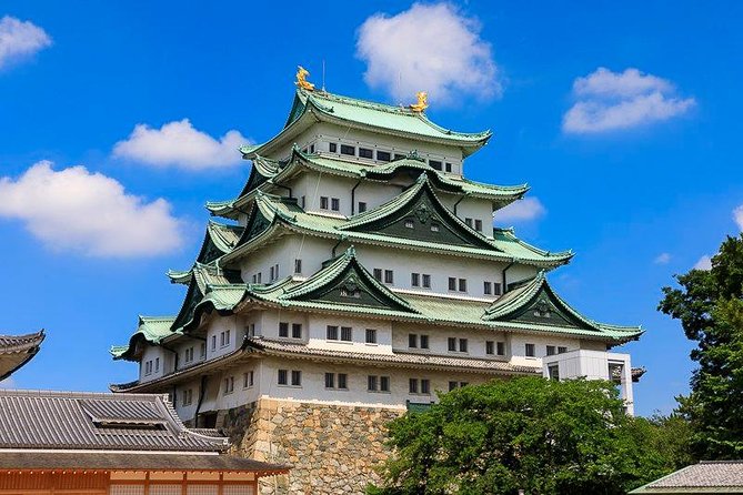 Nagoya Full-day Private Custom Tour with National Licensed Guide - Key things that make this Nagoya private tour work