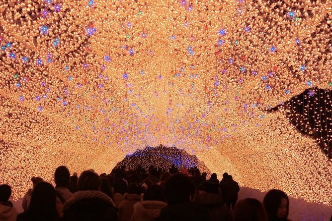 Nagoya : Private Nabana no Sato Tour : Illuminations & Shopping - Key highlights
