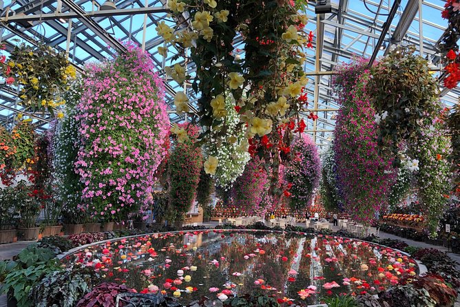 Nagoya : Private Nabana no Sato Tour : Illuminations & Shopping - Practical tips for walking the lights (and staying warm)
