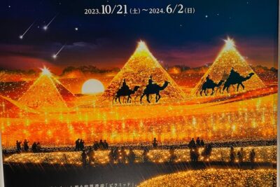 Private Nabana no Sato Tour : Illuminations & Shopping