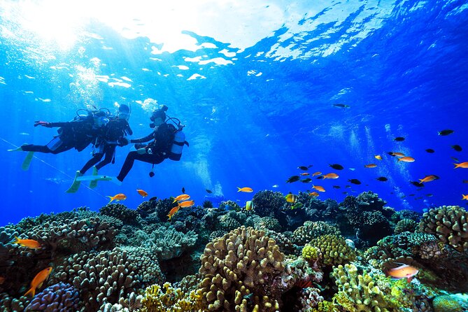 Naha: Full-Day Introductory diving & Snorkeling in the Kerama Islands, Okinawa - Boat comfort, lunchbox breaks, and getting your photos
