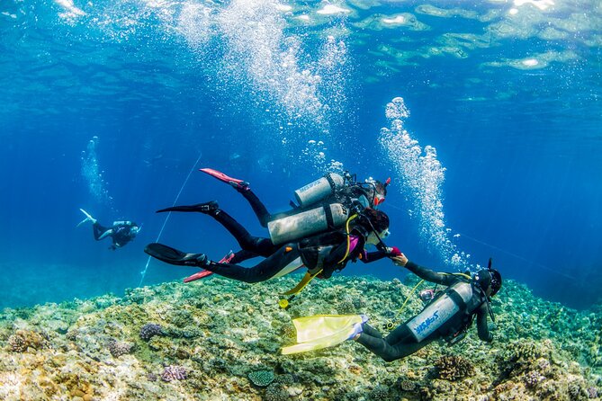 Naha: Full-Day Introductory diving & Snorkeling in the Kerama Islands, Okinawa - Who this tour suits best, and who should plan carefully