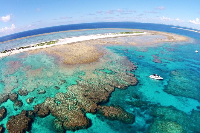 Naha: Full-Day Snorkeling Experience in the Kerama Islands, Okinawa - Guides in the water: safety, small groups, and wildlife rules