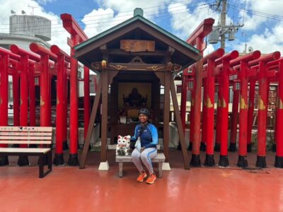 Naha: Guided E-Bike Tour of the 12 Zodiac Temples