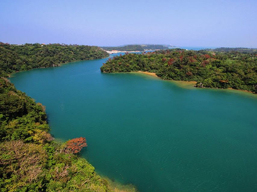 Naha: North Okinawa Sightseeing Tour & Churaumi Aquarium - Key highlights to know before you go