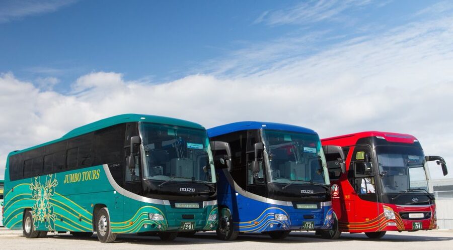 Naha: North Okinawa Sightseeing Tour & Churaumi Aquarium - Audio guide and tour conductor: learn without feeling herded