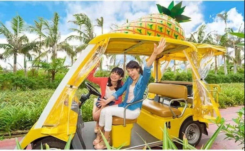 Naha: North Okinawa Sightseeing Tour & Churaumi Aquarium - Pacing reality check: what you gain, and what you give up