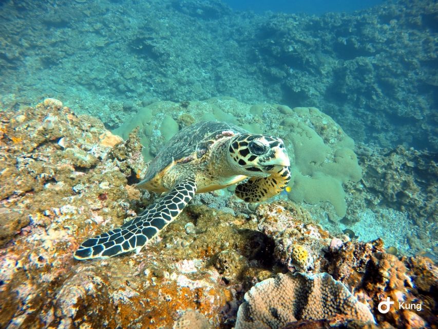Naha, Okinawa: Kerama Islands Full-Day Intro-Diving Trip - Lunchbox, timing, and staying comfortable on the water