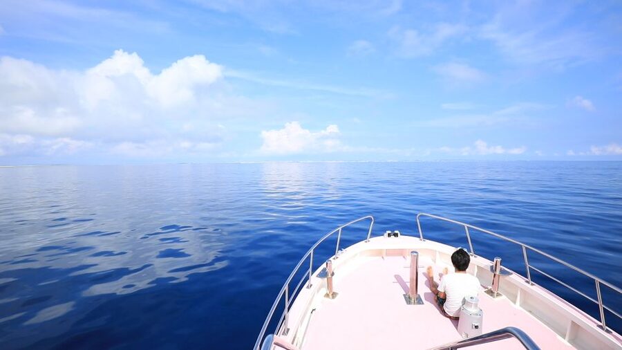 Naha, Okinawa: Kerama Islands Half-Day Whale Watching Tour - The “find them fast” approach on the water