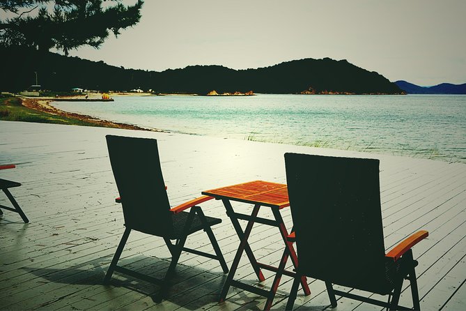 Naoshima private tour by national licensed tourguide - Weather, reservations, and how the guide helps you stay flexible