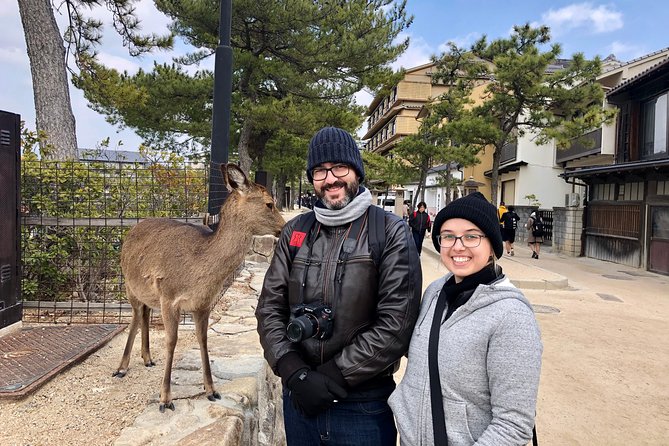Nara 6hr Private Tour with Government-Licensed Guide - How to choose 3-4 sites so your day makes sense