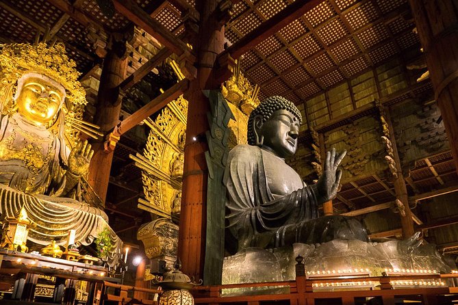 Nara 8hr Private Tour - Kyoto DEP. with Licensed Guide - How the rest of Nara fits: temples, gardens, museum time