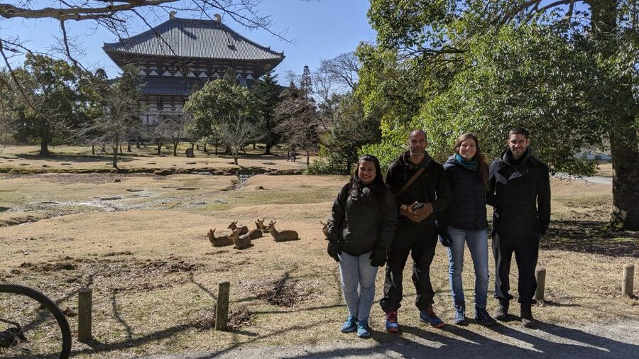 Nara: City Highlights Shared Group or Private Bike Tour - The first ride: Ukimido stop, then straight into Nara Park