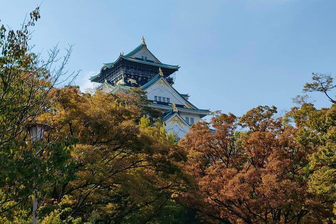 Nara Deer Park, Uji Matcha, & Hot Spring Full-Day Tour from Osaka - Uji Matcha Street: where tea snacks become your afternoon mission