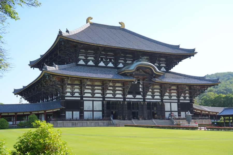 Nara Early Bird Tour (Kyoto Departure Option Available) - Why Nara Feels Better When You Arrive Before Everyone Else