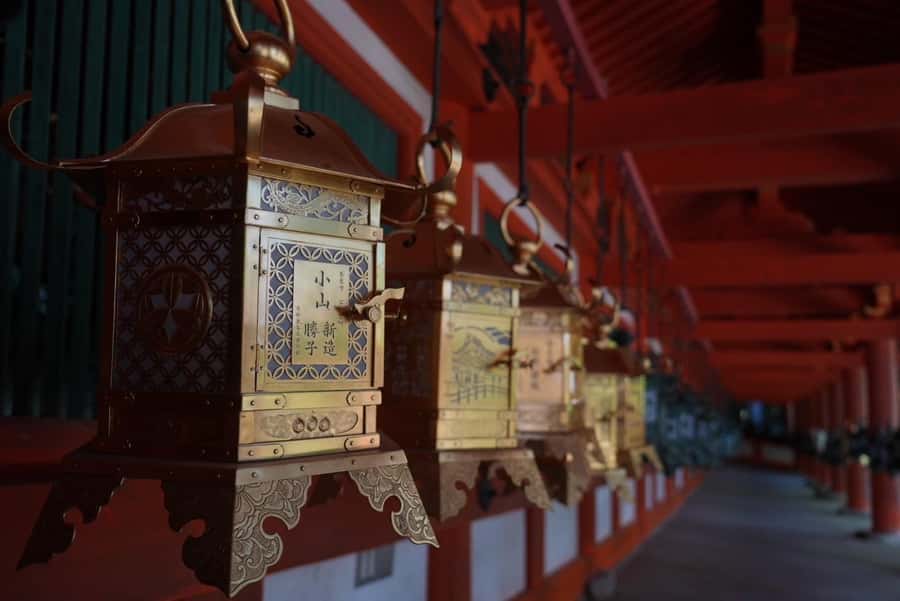 Nara Early Bird Tour (Kyoto Departure Option Available) - Kofuku-ji, Todaiji, and Nara Park at the Best Hour