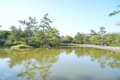 Nara Early Bird Tour (Kyoto Departure Option Available)