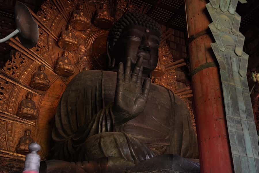 Nara Early Bird Tour (Kyoto Departure Option Available) - Fushimi-Inari, Kinkaku-ji, and Arashiyama Moments in the Same Morning