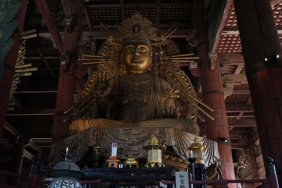 Nara Early Bird Tour (Kyoto Departure Option Available) - Timing and Your Flexible Afternoon Plans