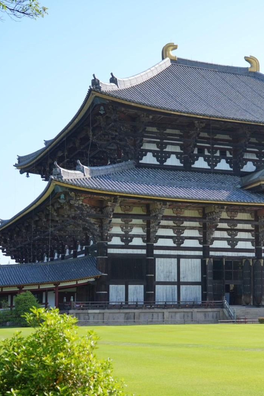 Nara Early Bird Tour (Kyoto Departure Option Available) - What to Bring, and Who Should Consider Another Option