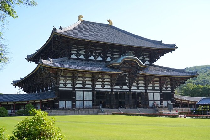 Nara Early Morning Tour (Kyoto or Osaka Departure Available) - Why Nara feels magical before the crowds show up