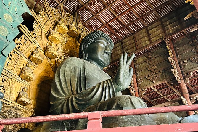Nara Early Morning Tour (Kyoto or Osaka Departure Available) - The guide makes the difference, and you will notice it fast