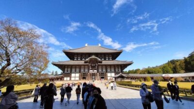 Great Buddha, Kasuga Shrine & Deer Park Tour