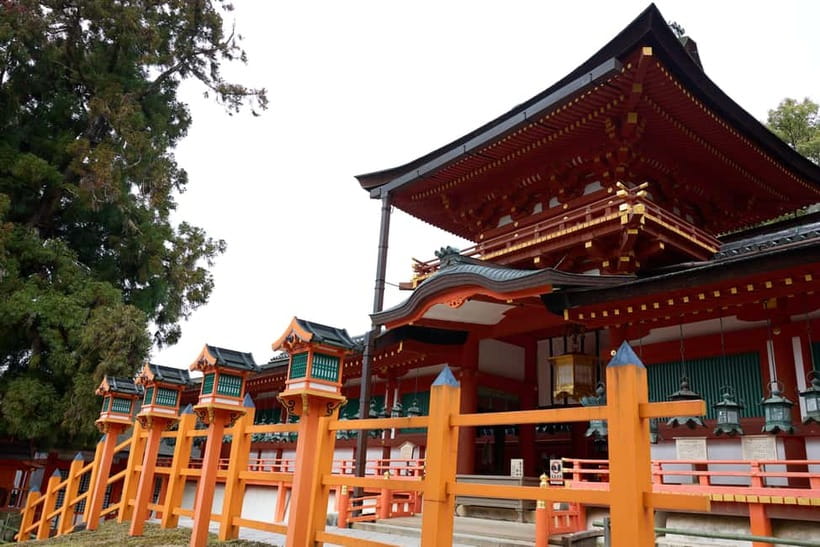 Nara: Great Buddha, Kasuga Shrine & Deer Park Tour - Todai-ji Great Buddha Hall: the scale hits you fast