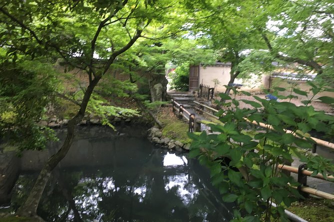 Nara Half Day Trip Walking Tour (Private Option Available) - Nara Park deer time, plus the bowing-custom moment