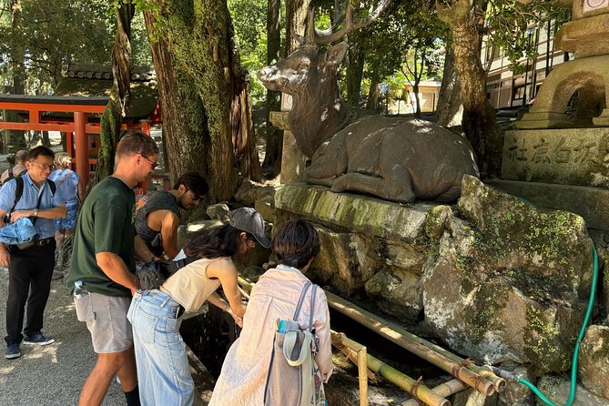 Nara Highlight Walking Tour with Furoshiki Experience with Lunch - Deer time in Nara Park: the classic moment, without the chaos