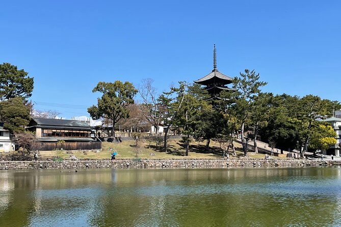 Nara Private Tour: Flexible Pickup from Kyoto, Osaka, or Nara - Shosoin: the quiet, museum-feeling break