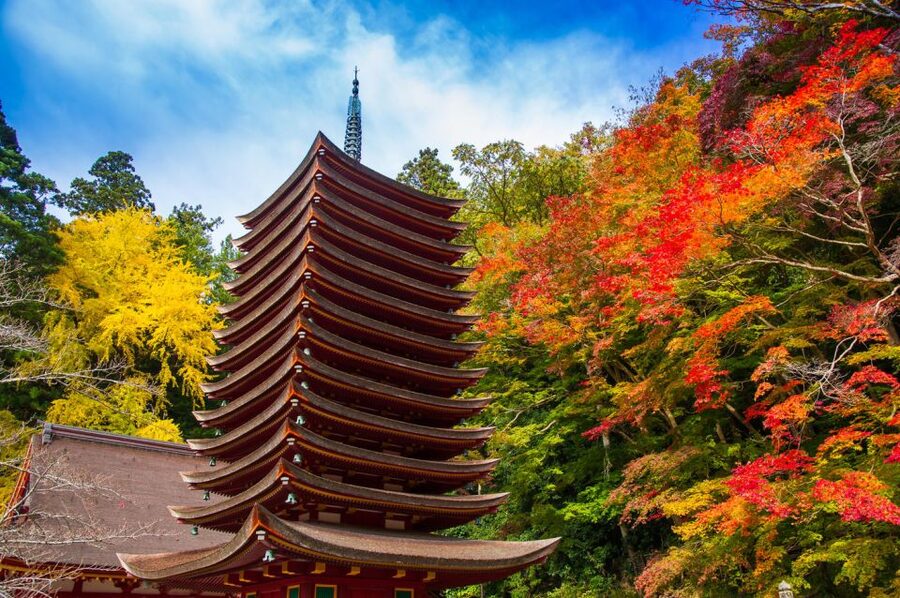 Nara: Private Tour with Private Guide - How this private Nara tour works, from your hotel to a tight route