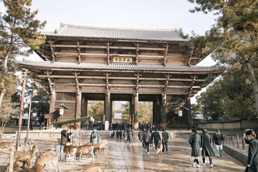Nara: Private Walking Tour with a Local - Beyond the famous sights: how you get the real Nara atmosphere
