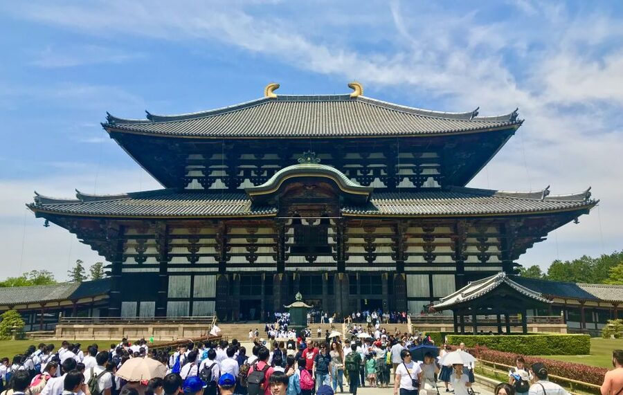 Nara: Todai-ji y parque de Nara (Spanish Guide) - Tamukeyama Hachimangu and the shift toward Kasuga Taisha