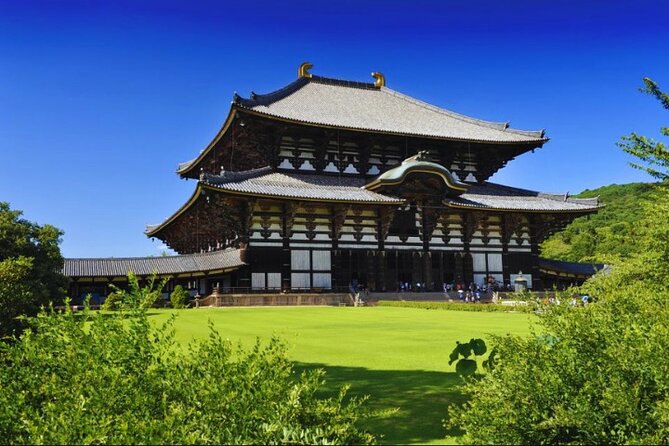 Nara, Todaiji Temple & Kuroshio Market Day BUS Tour from Osaka - A one-day loop from Osaka that actually saves planning time