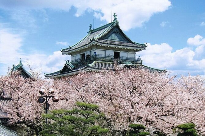 Nara, Todaiji Temple & Kuroshio Market Day BUS Tour from Osaka - Bring cash for the market and temple fees