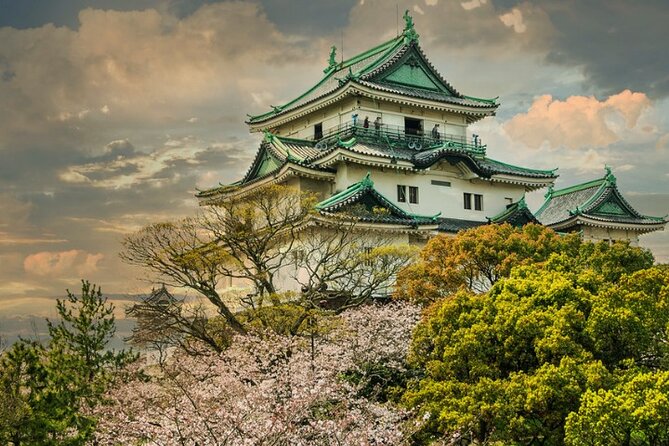 Nara, Todaiji Temple & Kuroshio Market Day BUS Tour from Osaka - How to plan for the sika deer time in Nara